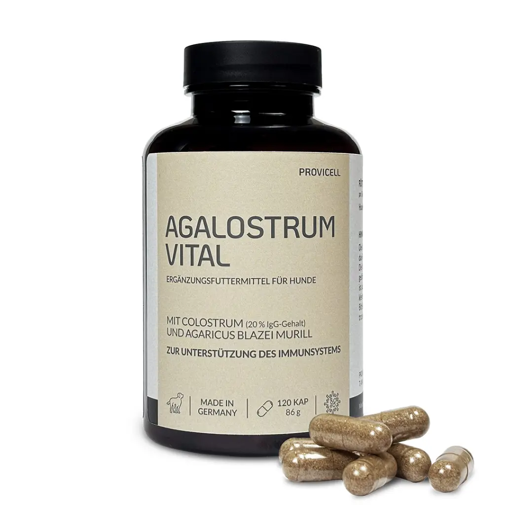 Agalostrum Vital