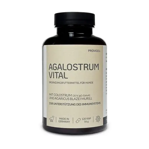 Agalostrum Vital