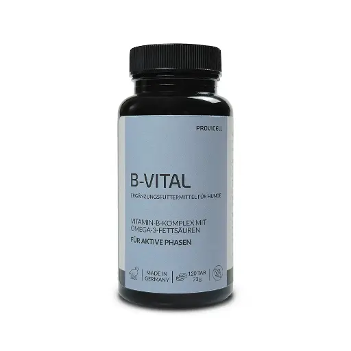 B-Vital