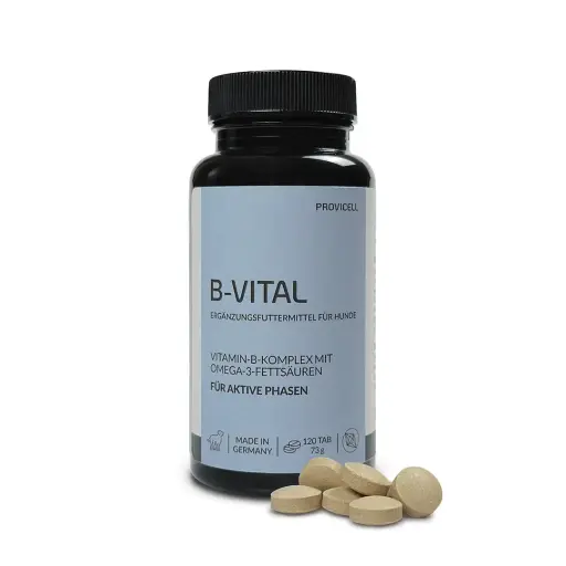 B-Vital